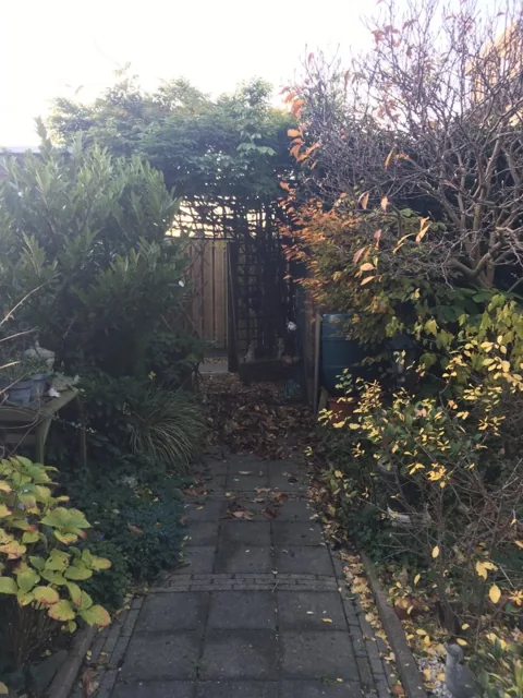 Tuinproject van Hovenier Klavertje 4: aanleg en bestrating