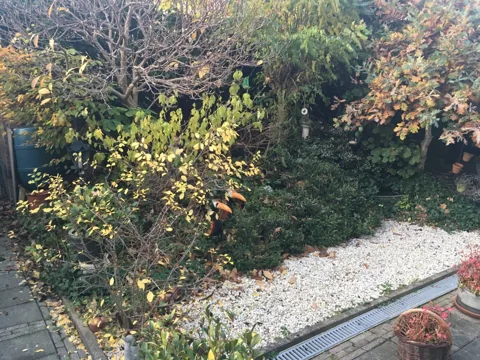 Tuinproject van Hovenier Klavertje 4: aanleg en bestrating